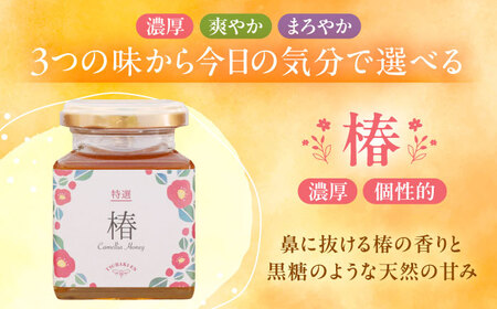 【ギフト箱入り】稲沢のはちみつ3種（椿・もちの木・百花） / はちみつ 国産 非加熱 純粋 蜂蜜 天然 ハチミツ / 稲沢市 / 椿園株式会社 [BMBI001]