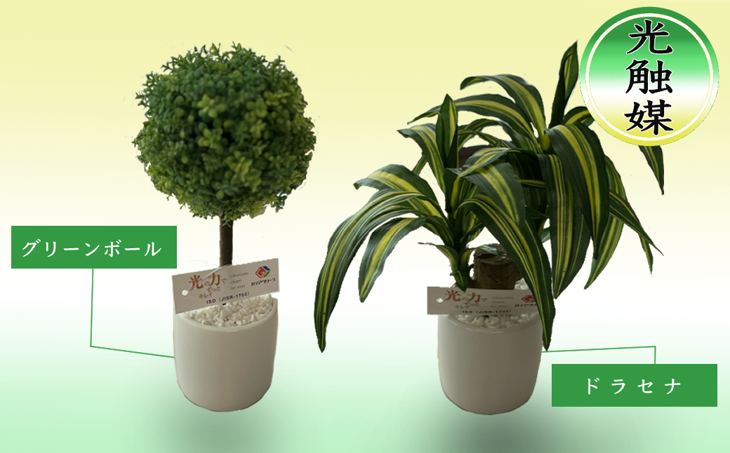 
                  光触媒・造花 2つ セット ドラセナ グリーンボール 約25cm 観葉植物 植物 北海道 芦別市 日本インソール工業 [№5342-0133]
                