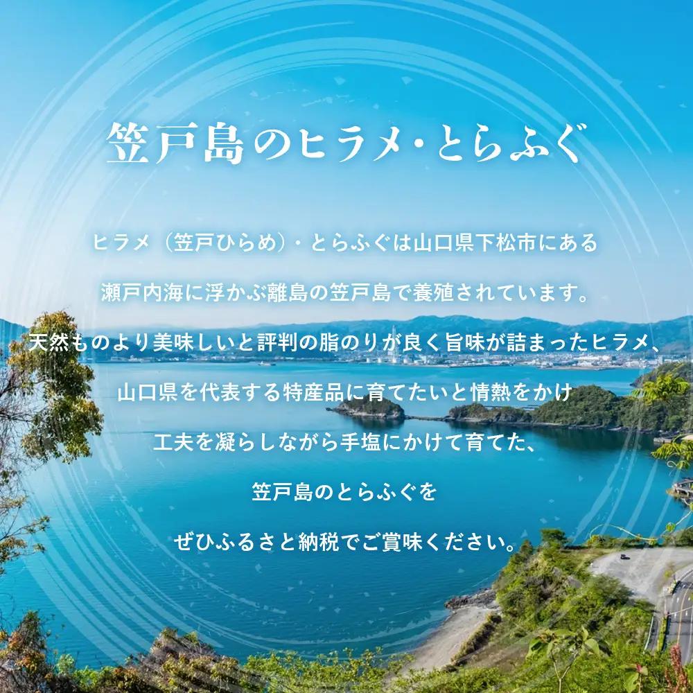 笠戸ひらめ・とらふぐ　お刺身（朱皿プラスチック）約2～3人前【引換券】 ／ ヒラメ さしみ トラフグ 山口県 No.187
