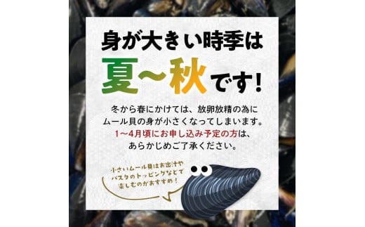 明神丸かき・ほたてきちのムール貝 1kg 【沖縄県・離島配送不可】 三陸山田 山田町 しゅうり貝 海産品 山田産 山田湾  魚貝 魚介 海産物 食品 YD-882