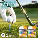 【ふるさと納税】タバタ Tabata リフトティースパイラル GV1419 Lサイズ×2個セット ゴルフ ゴルフ用品 ティー ゴルフティ ショートティー Golf Tee ツアーティー TOUR TEE ゴルフティー スポーツ 茨城県 送料無料