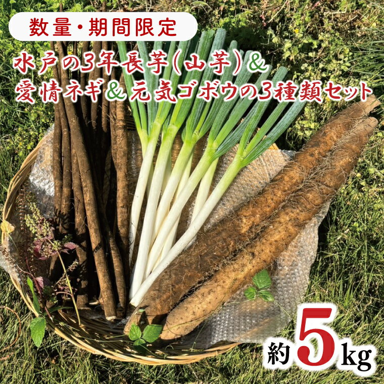 【ふるさと納税】【2026年11月下旬～2027年1月下旬配送】戸の3年長芋（山芋）＆愛情ネギ＆元気ゴボウの3種類セット【茨城県産 野菜 やさい 野菜セット 水戸野菜 ごぼう 牛蒡 ながいも やまいも ねぎ 葱 国産 新鮮 産地直送 農家直送 生産者】（HD-2）
