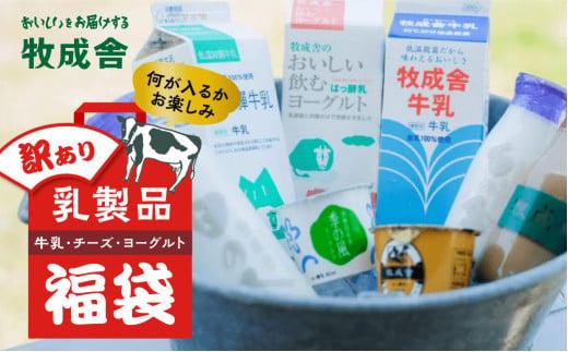 乳製品 福袋 ヨーグルト 牛乳 種類おまかせ   詰合せ 牧成舎 DF005