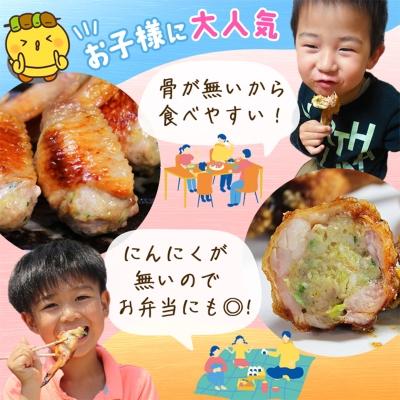 ふるさと納税 香取市 8秒に1本売れてます!手羽先餃子10本セット/水郷のとりやさん |  | 03
