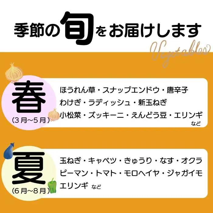 【12か月定期便】道の駅セレクト 旬野菜つめあわせ やさい 野菜 詰め合わせ 7～10品目 新鮮 国産 健康 ヘルシー サラダ 鍋 季節 043043