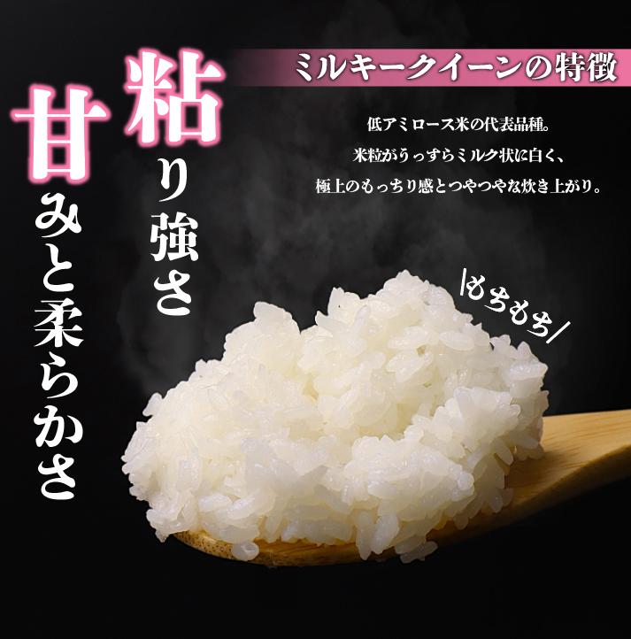 新米 ミルキークイーン 20kg お米 米 白米 こめ しんまい 令和6年産 ご飯 備蓄 贈答 コメ 新潟産 新潟県 新潟米 新潟 新発田 斗伸 toushin017_01