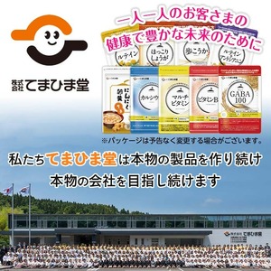 No.1298-A ＜定期便・全3回(隔月)＞活力セット(てまひま にんにく卵黄・ビタミンB群/各2袋×3回 計12袋) 鹿児島 日置市 ニンニク 健康食品 加工食品 栄養 元気 有精卵 カプセル 手