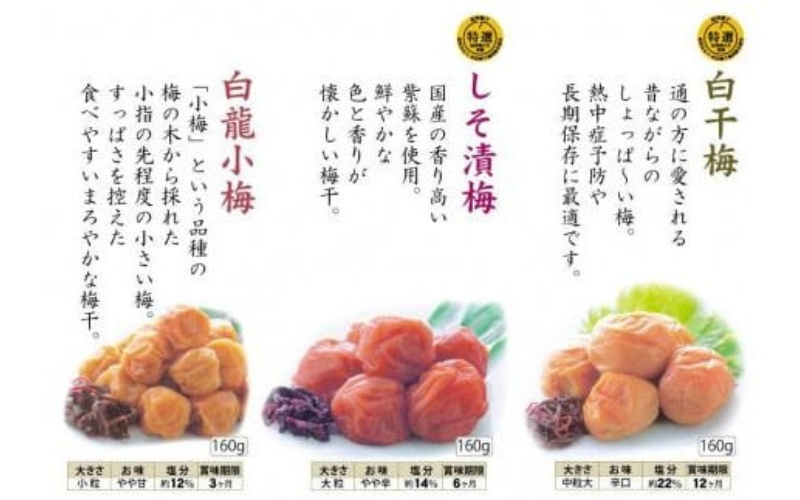 自家梅園産　完熟南高梅詰合せ「毎日梅ようび」（160g×6パック）　yokosho007A