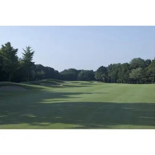 猿島カントリー倶楽部利用券15000円 ／ ゴルフ golf GOLF ごるふ ゴルフ場 チケット ちけっと 体験 プレー券 利用券 ゴルフ場利用券 チャンピオンコース アメリカンスタイル アクセス抜