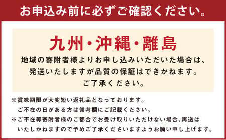 神内マンゴー 特品 510g以上 2玉入り 【2025年7月上旬～2025年9月下旬発送】 果物 フルーツ マンゴー 木箱 北海道 浦臼町