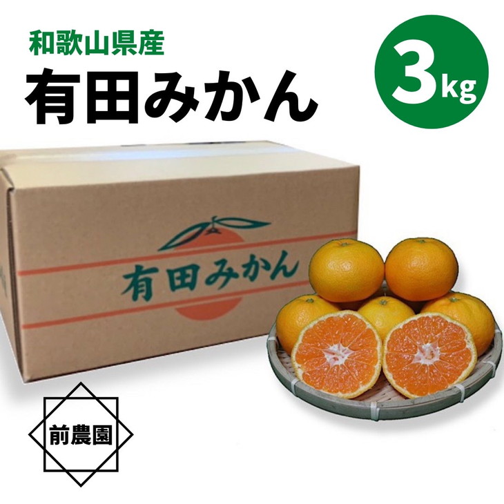 BL6110n_【2025年先行予約】【産地直送】和歌山県産 有田みかん 3kg サイズ混合