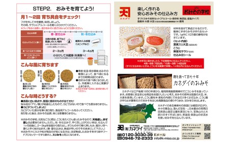 FQ3　小石原焼 味噌甕でつくる「カネダイ」の簡単手作りみそセット【白甕(しろがめ)・麦みそ】