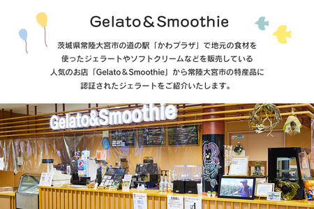 Gelato＆Smoothie えごまジェラート 12個 スイーツ アイス えごま 【ジェラート】【ho1382】