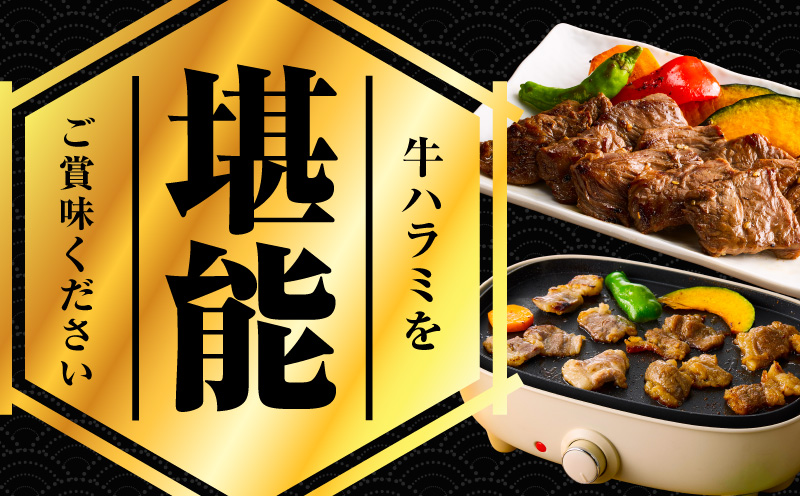 【満足牛ハラミ】中辛タレ漬け 400g【味付け ハラミ 小分け 焼くだけ 簡単調理 BBQ 牛肉 200g×2P】 G3447