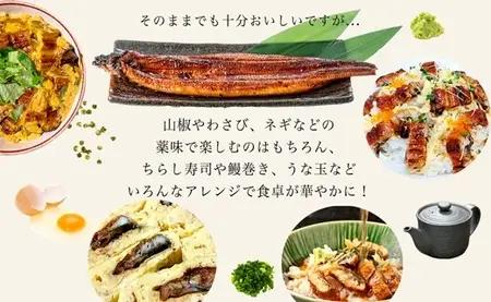 大満足1kg　愛知県三河一色産　うなぎ蒲焼き（5尾～7尾）・U040-30