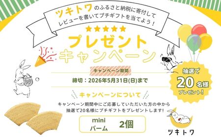 バームクーヘン グルテンフリー プレーン 1個 | バウムクーヘン 米粉 ギフト ツキトワ