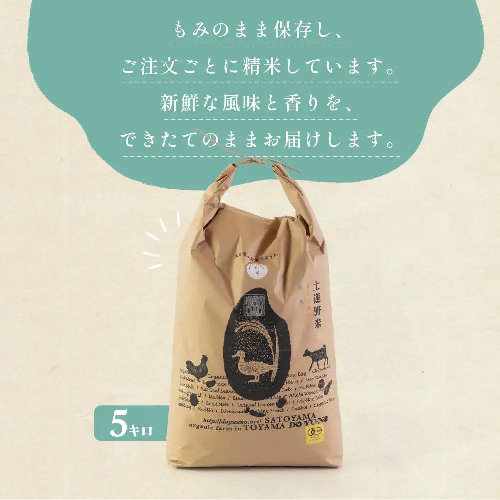 有機米 コシヒカリ 5kg　棚田-tanata-（有機JAS認証米） 米 白米 精米