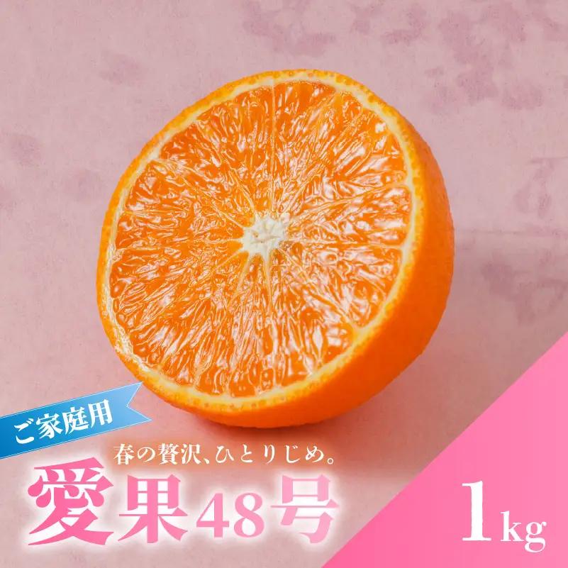 愛果48号 1kg 紅プリンセス と同品種 愛果48号【RNK025】