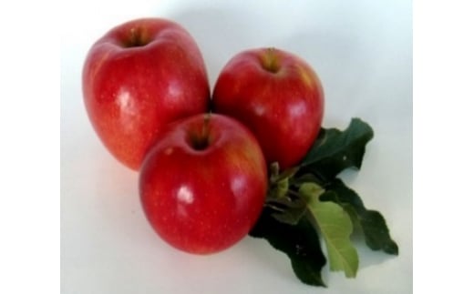 
            会津美里産　りんご（サンふじ）5kg ※2025年11月下旬～12月中旬頃に順次発送予定
          