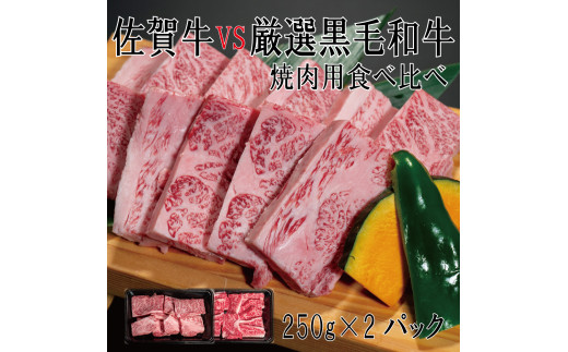 
DX033_佐賀牛×厳選黒毛和牛　焼肉用食べ比べ250g×2
