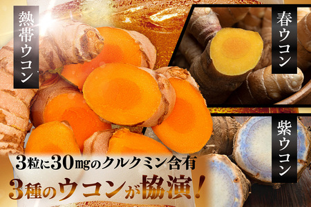 【金秀バイオ】沖縄県産 熱帯 ウコン 90粒 3袋 セット 90日 分 (約 3ヶ月 分) サプリ サプリメント 熱帯ウコン 春ウコン 紫ウコン 栽培期間中農薬・化学肥料不使用 クルクミン ビタミンC
