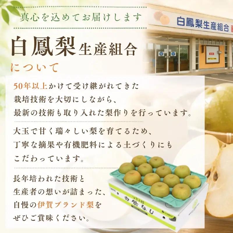 梨 白鳳梨（豊水）3L  14玉 ※お届けは9月上旬から9月中旬頃の予定 梨 【hkns0001】
