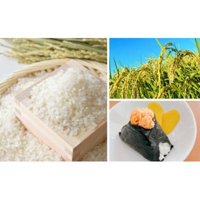 ふるさと納税 美唄市 【北海道美唄産】令和7年産 ゆめぴりか 5kg 新米(精米) |  | 01
