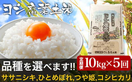 令和6年産＜定期便＞ヨシ腐葉土米 精米50kg（10kg×5回発送）コシヒカリ