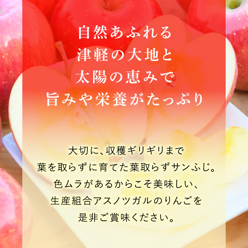 りんご 【12月発送】 蜜入り 糖度13度以上 訳あり 家庭用 葉とらず サンふじ 約 10kg 【 弘前市産 青森りんご 】