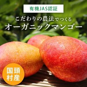 先行予約【有機JAS認証】オーガニックマンゴー2kg（4～5玉）【2024年7月発送】