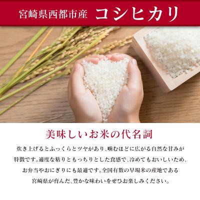 ふるさと納税 西都市 8月より発送【5ヶ月定期便】 新米コシヒカリ無洗米 5kg×5回令和7年産宮崎県西都市産[2862] |  | 02