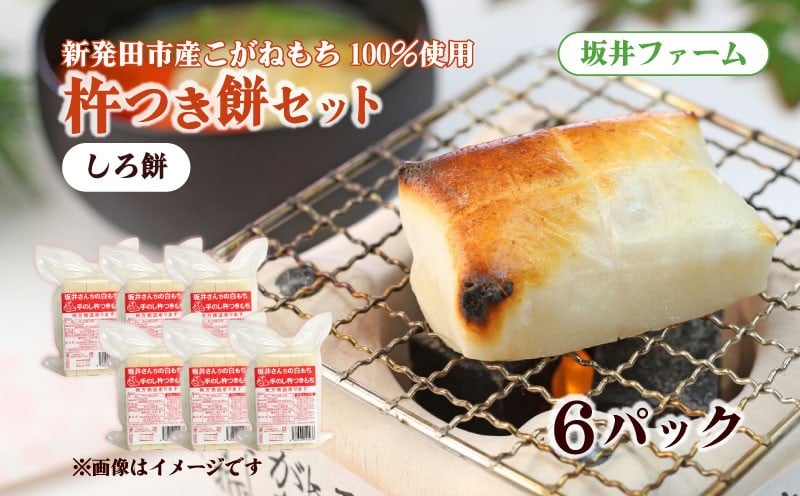 
            杵つき餅(白餅) ６袋 【 ふるさと直送 産地直送 もち 餅 セット 詰め合わせ 3kg 正月 せいだ 新潟 新発田 C53_01
          