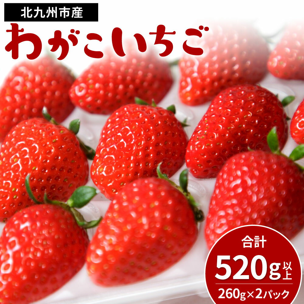 【ふるさと納税】小倉の苺やさん「わがこいちご」260g×2パック 合計520g以上 福岡県 いちご イチゴ 果物 旬 新鮮 朝摘み 完熟 フルーツ 冷蔵 国産 福岡県北九州市 ※北海道・沖縄・離島への発送不可 【2026年1月上旬～3月下旬発送予定】
