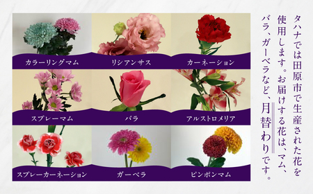 お花屋さんのタハナＢＯＸ