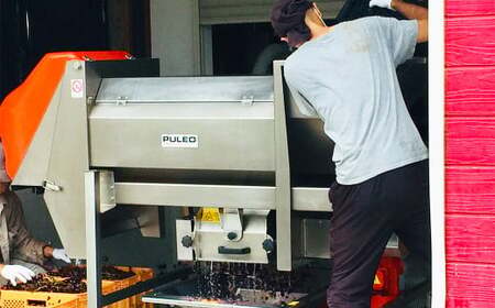 時津町産 巨峰スパークリングワイン 2023 750ml