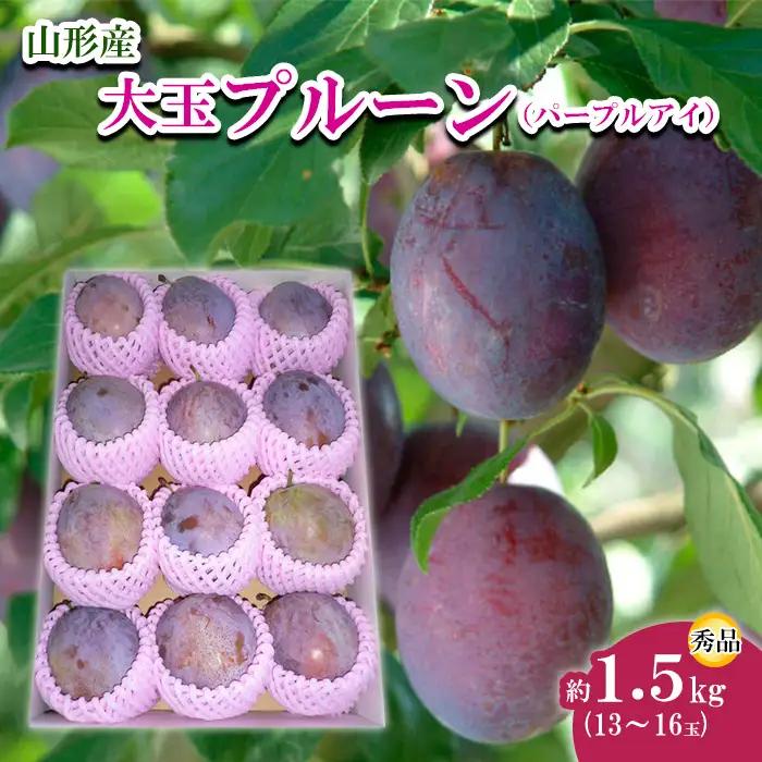 山形市産 大玉プルーン(パープルアイ) 秀 約1.5kg(13～16玉) 【令和8年産先行予約】FU22-758 くだもの 果物 フルーツ 山形 山形県 山形市 2026年産