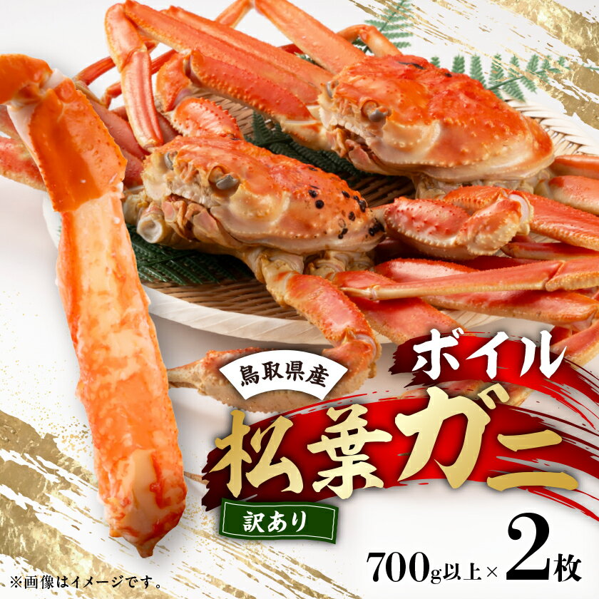 【ふるさと納税】鳥取県産ボイル松葉ガニ訳あり!　2枚セット【配送不可地域：離島・北海道・沖縄県】【1536355】