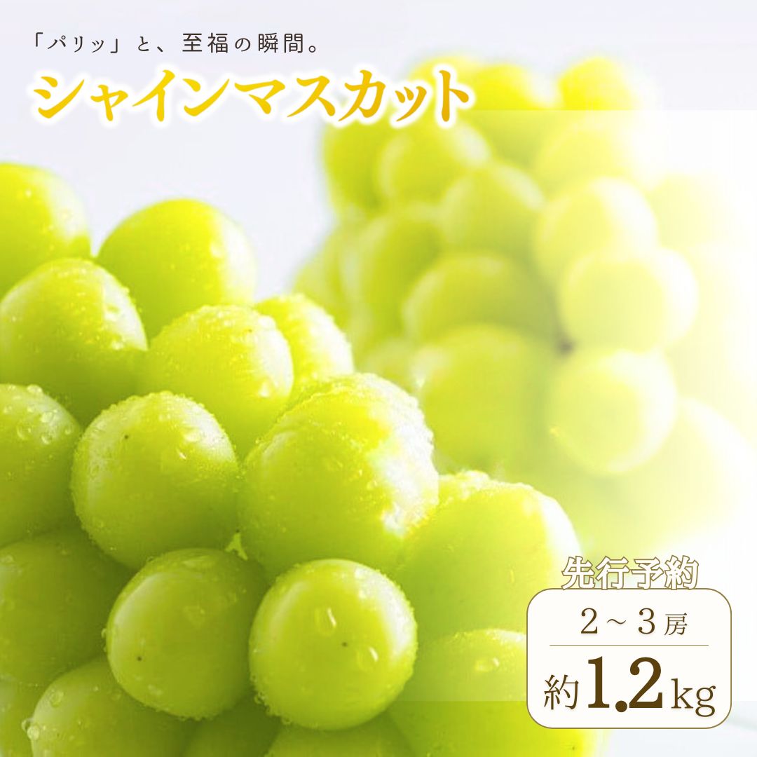 【ふるさと納税】 【2025年先行予約】 爽やかな甘さ シャインマスカット 2房 ~3房 （ 1kg ~ 1.2kg ）クラウン農園 | 果物 フルーツ ぶどう 葡萄 長野県 信州 千曲市