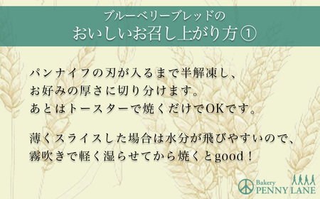 【隔月3回配送定期便】ペニーレインのブルーベリーブレッド3本セット【 パン パン屋 茨城県 つくば市 ブルーベリー 冷凍パン お取り寄せ 人気 おすすめ ベーカリー グルメ プレゼント レストラン ド