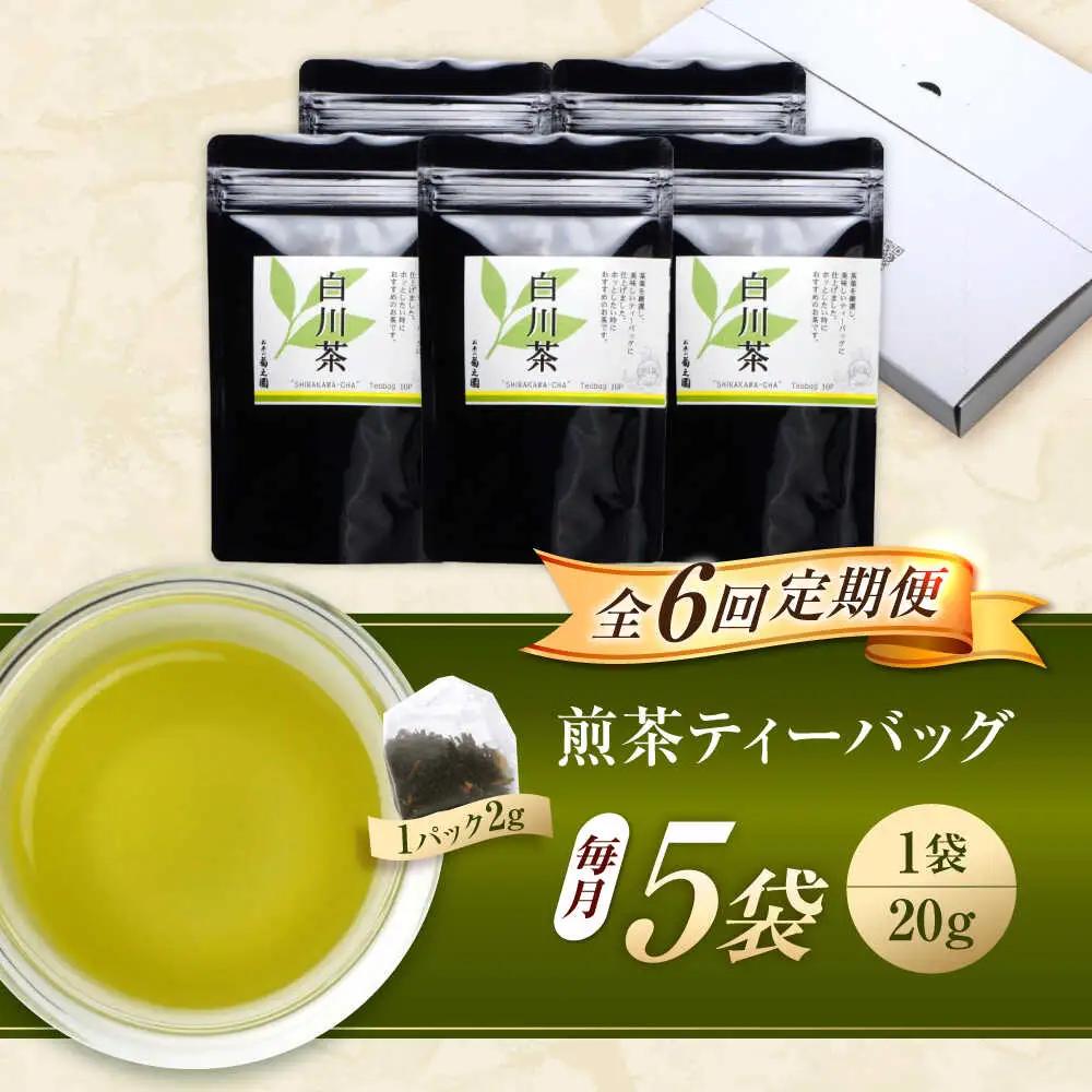 【6回定期便】煎茶 ティーバッグ 5袋 / 菊之園[AWAG006]煎茶