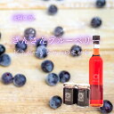 【ふるさと納税】 ブルーベリー ジャム 140g × 2瓶 ビネガー 酢 調味料 500ml × 1瓶 セット 朝食 ヨーグルト に合う 高知県 須崎市