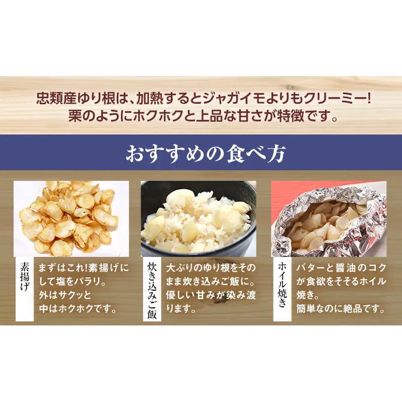 2026年10月発送 先行予約 十勝「忠類ゆり根」1kg (7～12玉) M～2L［JA忠類］【 ゆり根 百合根 高級食材 お正月 贈答 ギフト 根菜 冬の味覚 北海道 幕別 】