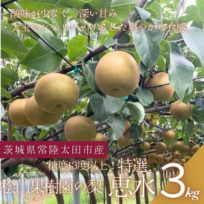 
                  ＜数量限定!＞桧山果樹園の茨城県ブランド梨　特選恵水3kg【1645133】
                
