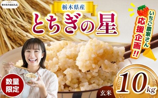 【栃木県共通返礼品 】【先行予約】訳あり 数量 限定 定期便 令和8年度産 とちぎの星 約 10kg | とちぎの星 ミルキークイーン お米 kome okome ご飯 米 玄米 白米 ごはん おいしい  ふるさと納税 栃木県 那珂川町 送料無料