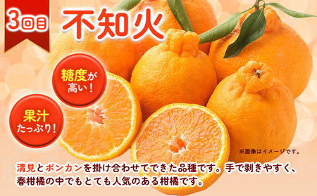 人気柑橘食べくらべ定期便 全3回 計15kg 柑橘 みかん 定期便 st-p