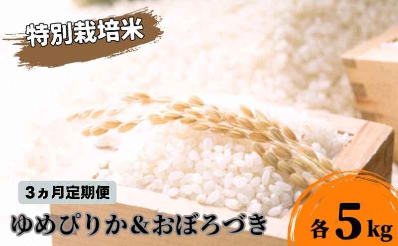 
◆3ヵ月連続お届け お米の定期便◆北海道日高【田中農園】R6年産 ゆめぴりか＆おぼろづき 各5kg 食べ比べ セット 特別栽培米
