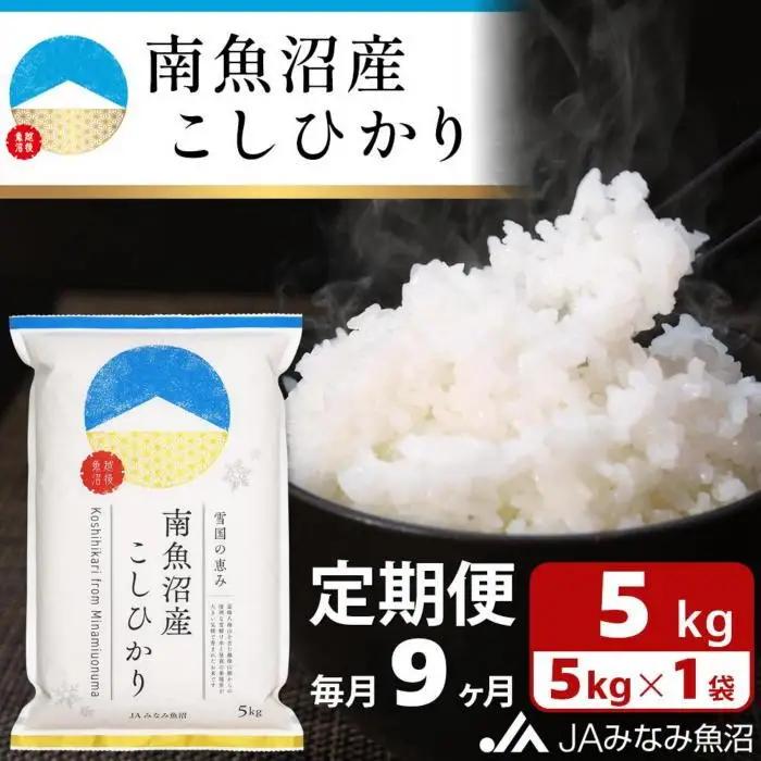【JAみなみ魚沼定期便】南魚沼産こしひかり（5kg×全9回）精米｜こしひかり