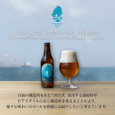 館山ブロンドエール 6本セット【配送不可地域：離島】【1578218】