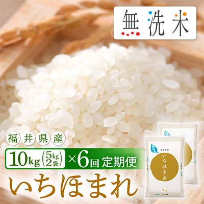2023年4月発送開始『定期便』≪6か月連続お届け≫無洗米 いちほまれ 10kg 全6回【5086460】