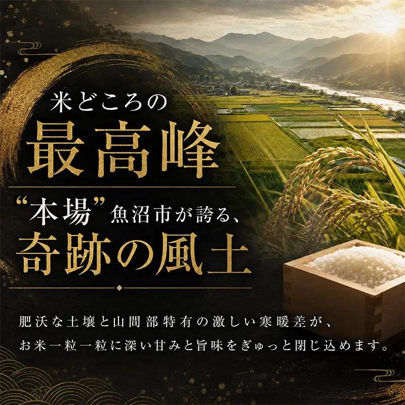【令和8年産 先行予約】 魚沼産コシヒカリ 精米 20kg（5kg×4）